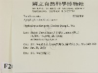 登錄號:F0020880藏品圖，第2張