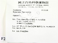 登錄號:F0020881藏品圖，第2張