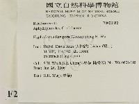 登錄號:F0020882藏品圖，第2張