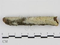 登錄號:F0020883藏品圖，第1張