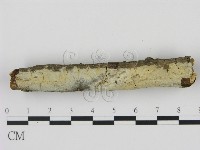登錄號:F0020883藏品圖，第3張