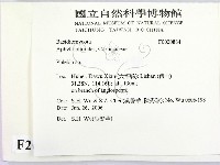 射脈菌屬藏品圖，第2張