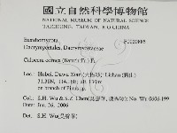 登錄號:F0020885藏品圖，第2張