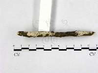 登錄號:F0020889藏品圖，第1張