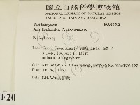 筍殼菌屬藏品圖，第2張