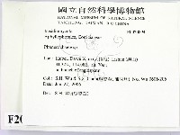 顯絲菌屬藏品圖，第2張