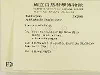 登錄號:F0020896藏品圖，第2張