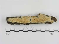 登錄號:F0020896藏品圖，第1張