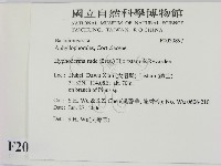 登錄號:F0020897藏品圖，第2張