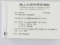 登錄號:F0020898藏品圖，第2張