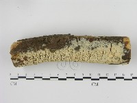 登錄號:F0020898藏品圖，第3張
