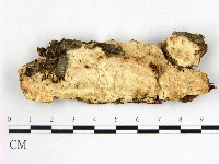 登錄號:F0020899藏品圖，第1張