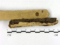 登錄號:F0020901藏品圖，第3張