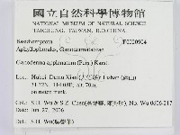 登錄號:F0020904藏品圖，第2張