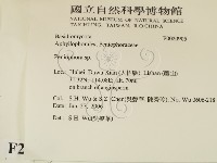 筍殼菌屬藏品圖，第2張