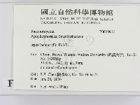 館號:F0020907藏品圖，第2張