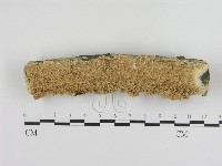 館號:F0020907藏品圖，第1張