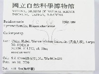登錄號:F0020909藏品圖，第2張
