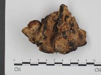登錄號:F0020910藏品圖，第1張