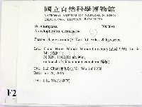 登錄號:F0020911藏品圖，第2張