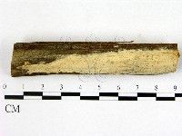 登錄號:F0020911藏品圖，第1張