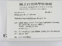 登錄號:F0020912藏品圖，第2張