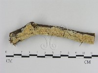 登錄號:F0020912藏品圖，第1張