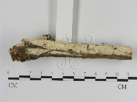登錄號:F0020912藏品圖，第3張