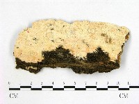 登錄號:F0020913藏品圖，第1張