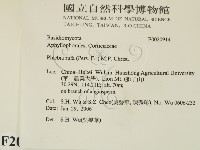 登錄號:F0020914藏品圖，第2張