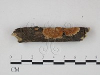 登錄號:F0020914藏品圖，第1張