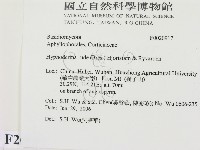 登錄號:F0020917藏品圖，第2張