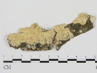 登錄號:F0020917藏品圖，第1張