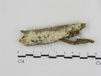 登錄號:F0020918藏品圖，第1張
