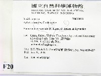 登錄號:F0020919藏品圖，第2張