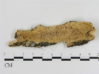 登錄號:F0020925藏品圖，第1張