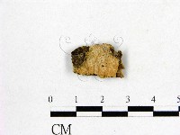 登錄號:F0020926藏品圖，第1張