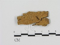 登錄號:F0020927藏品圖，第1張