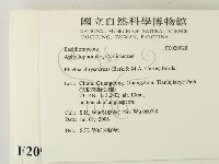 登錄號:F0020928藏品圖，第2張