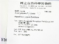 登錄號:F0020930藏品圖，第2張
