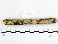 登錄號:F0020930藏品圖，第1張