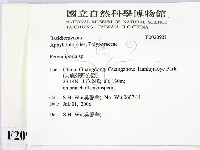 多年臥孔菌屬藏品圖，第2張