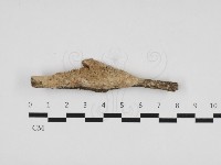 登錄號:F0020932藏品圖，第1張