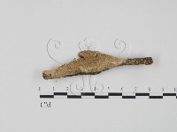 登錄號:F0020932藏品圖，第3張