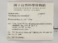 登錄號:F0020933藏品圖，第2張