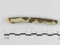 登錄號:F0020934藏品圖，第1張