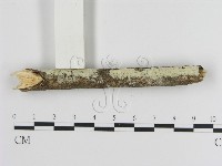 登錄號:F0020934藏品圖，第3張