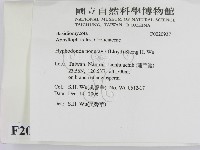 館號:F0020937藏品圖，第2張