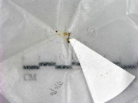 登錄號:F0020938藏品圖，第1張