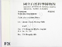 登錄號:F0020940藏品圖，第2張